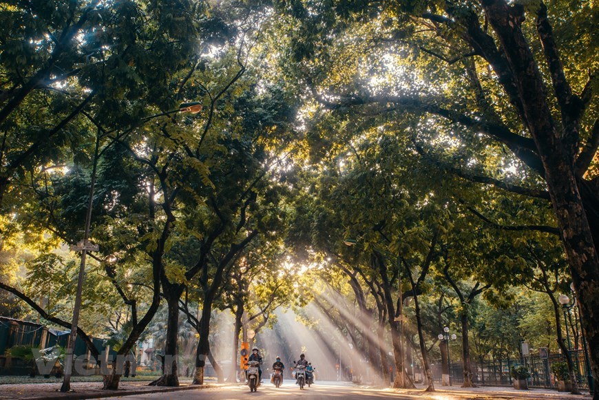 THE ROMANTIC ROAD IN HANOI