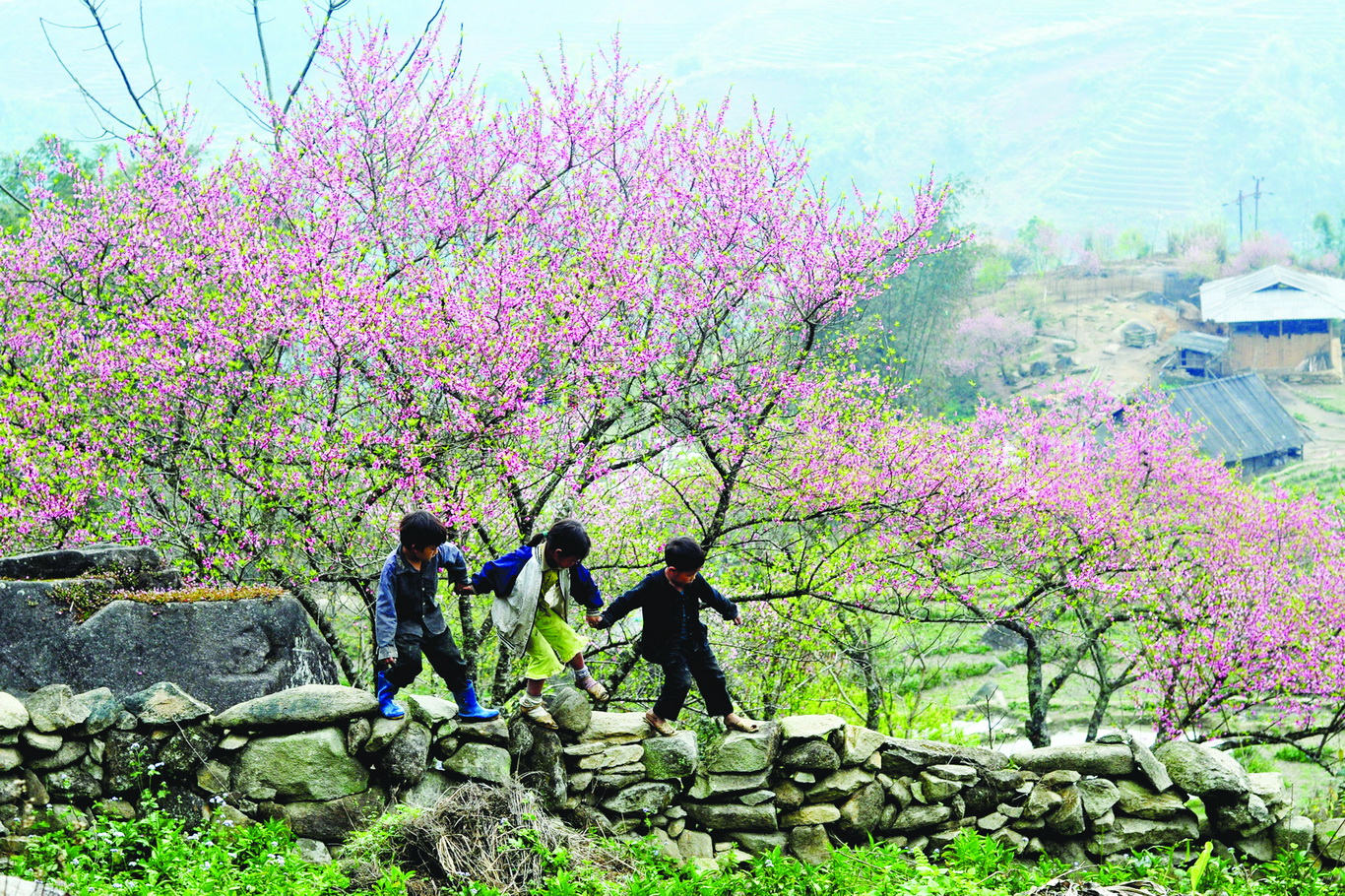 Sapa, Vietnam : Weather,Climate, Seasons