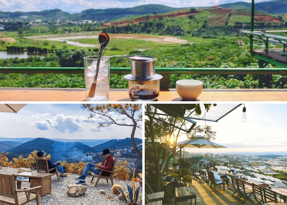 Farm Visits, Blossoms, Strawberries, and Coffee: Exploring Agrotourism in Dalat