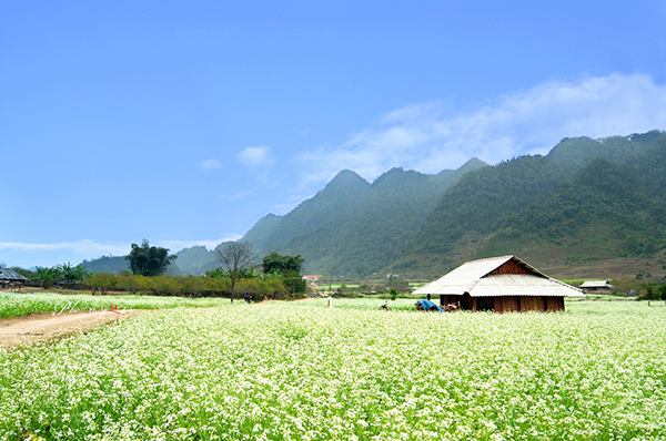 4 best destinations and things to do in Vietnam in spring